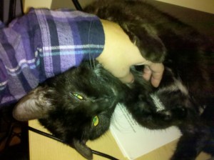 You're hand is mine!